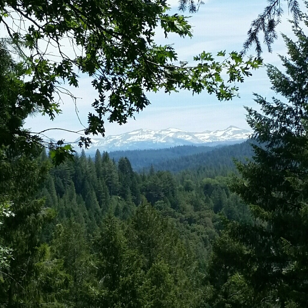 Meet your Posher, Patti